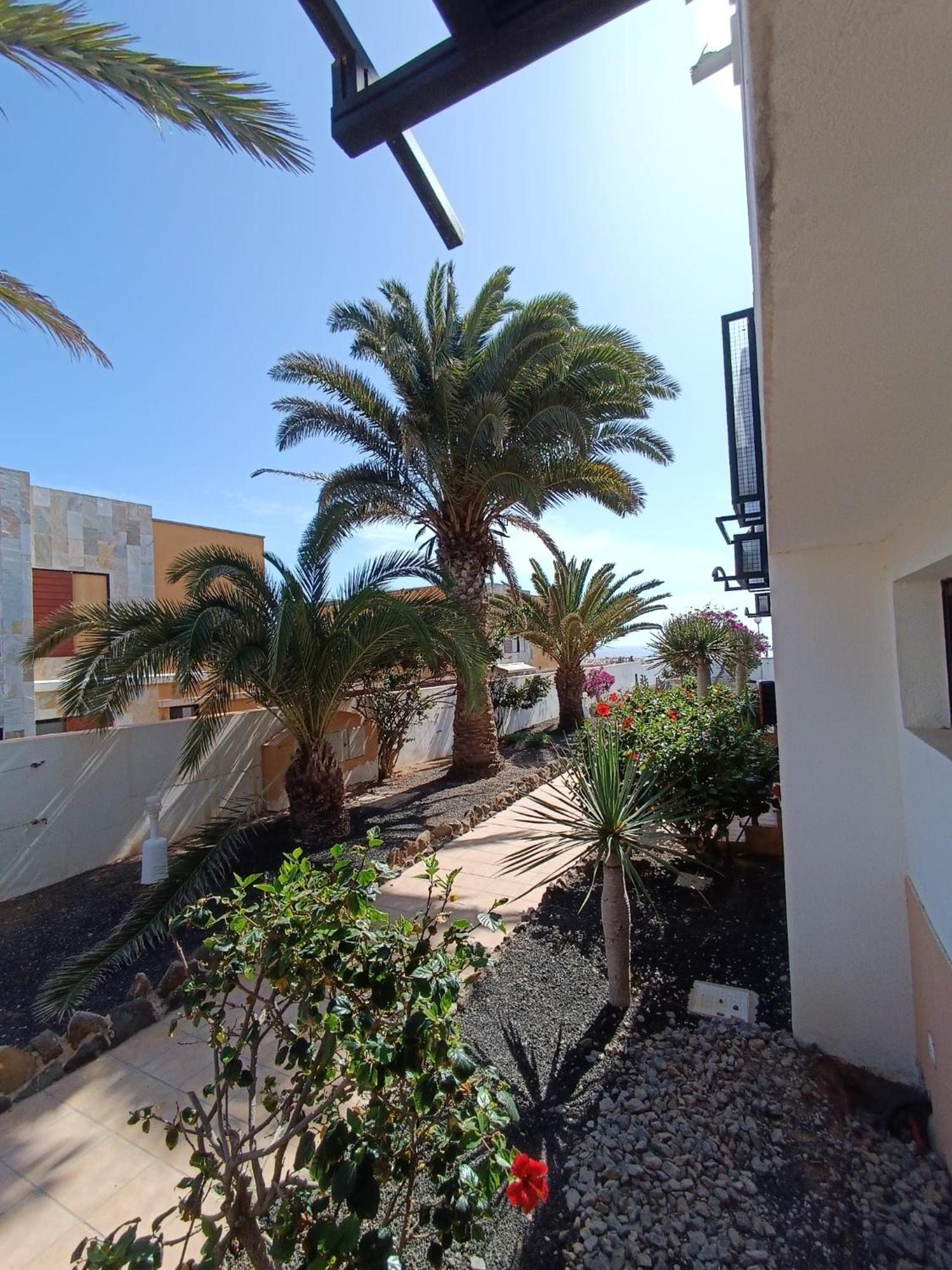 Apartamento Reload Complex Amaya Fuerteventura คอสตา เด อันตีกัว ภายนอก รูปภาพ
